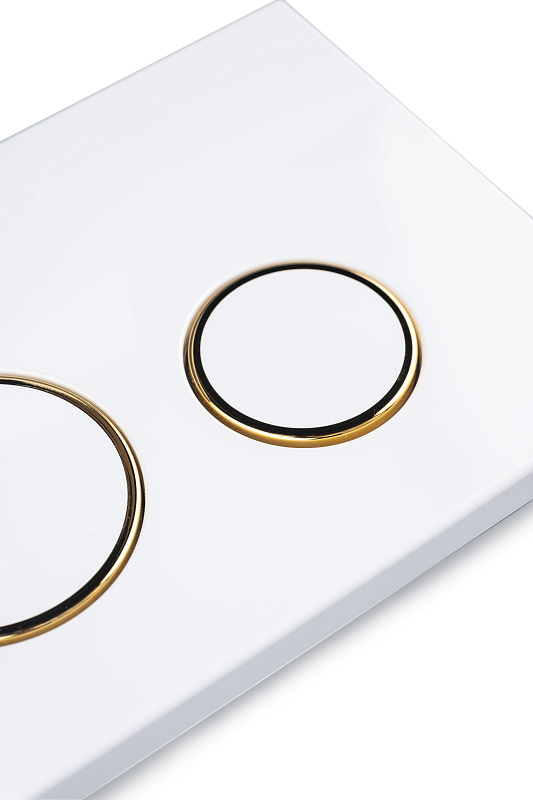 Клавиша АНИ Пласт для системы скрытой установки унитаза глянцевая белая, обод золото, клавиша белый глянец WPG2050G