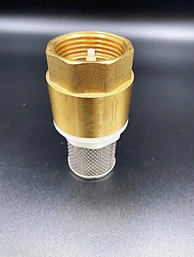 Клапан обратный Valfex с фильтром 1" дюйм, PN16 ,арт.VF.161.NS.100